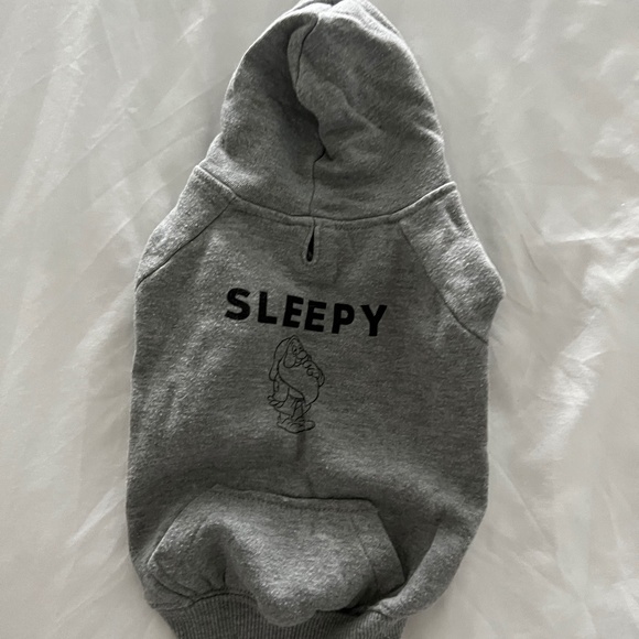 SLEEPY OVERSIZED HOODIE GRAY (SMALL) - Picture 1 of 2
